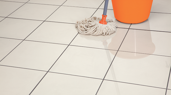 HG shine restoring tile cleaner (product 17)